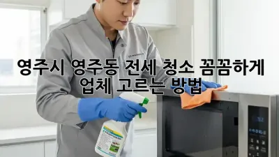 영주시 영주동 전세 청소: 꼼꼼하게 업체 고르는 방법